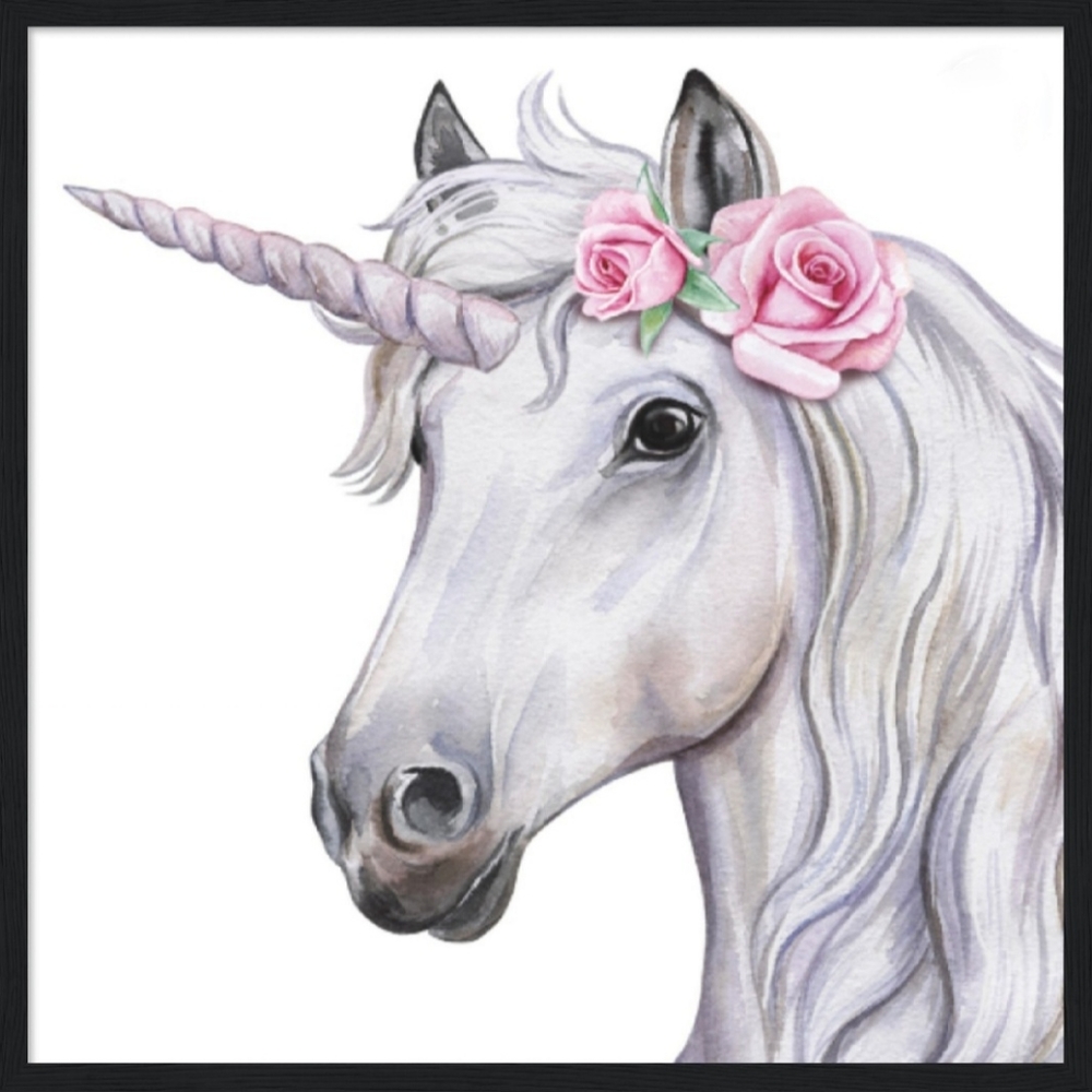 Closet contains unicorns